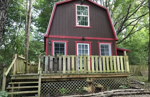 Barnardsville Maison | Clean cabin on beautiful property.