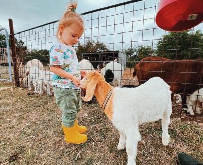 Glen Rose Maison | Cliffside Cabin @ High Hope Ranch Cowboy POOL!