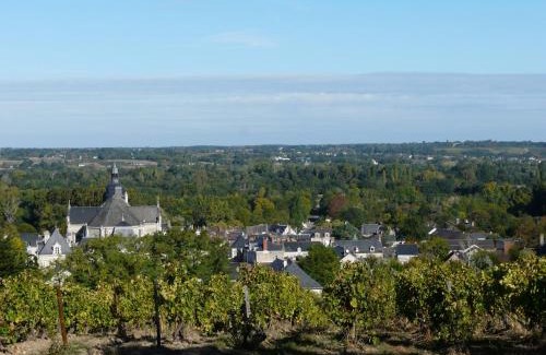 Rochefort-sur-Loire Lit Et Petit-Déjeuner | Clos sainte catherine