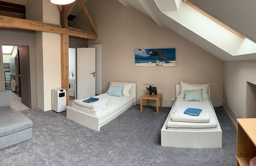 Cessy Maison | Close to Geneva (8 km)