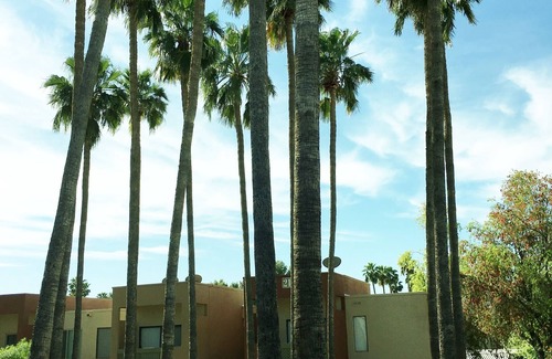 South Scottsdale Copropriété | Proche de la vieille ville, du golf et des restaurants - tarifs disponibles pour les séjours prolongés de mai à décembre