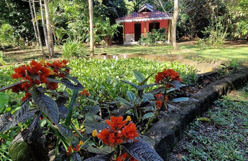 Cahuita Cabine | Close to the beach! Cabina C 1 for up to 5 people. Fully equipped kitchen!