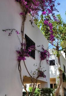 Cala Llenya Hôtel | Club Cala Azul