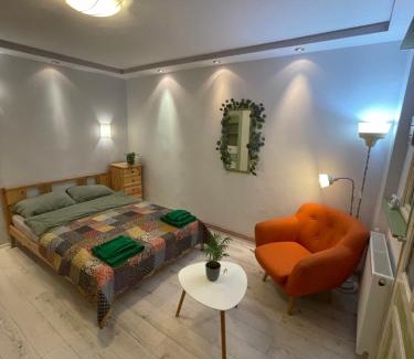 Cluj-Napoca Appartement | Cluj City Marasti Studio Andromeda