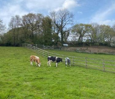 St Wenn Maison | Coach House St Wenn