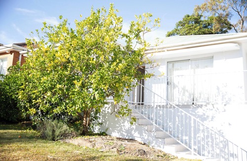 Woolooware Maison | Coastal family living, just 1km to Cronulla Beach! The Lemon Tree house.