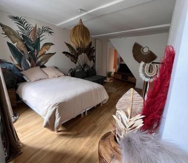 La Cote-Saint-Andre Appartement | Cocon Jungle Hyper Centre