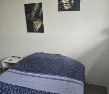 Danjoutin Appartement | Cocon Wifi Netflix Parking Gratuit