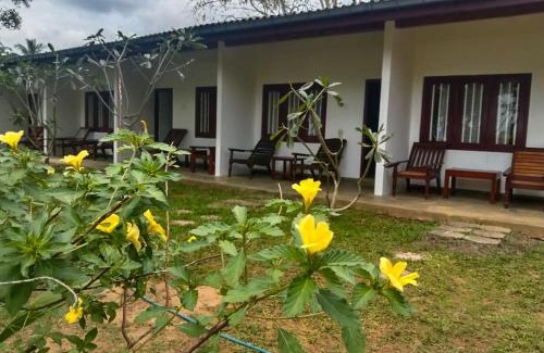 Talalla Hôtel | Coconut Beach