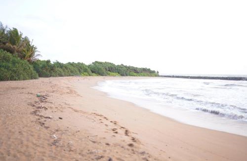 Rekawa Maison | Coconut Cove Lodge