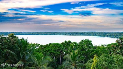 Rekawa Maison | Coconut Cove Lodge