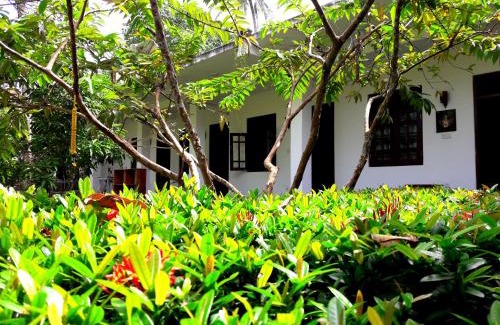 Midigama East Maison | Coconut Grove - Midigama