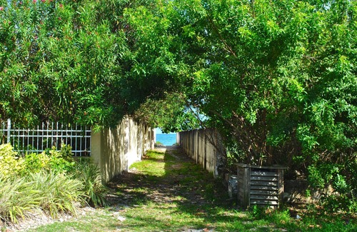 Windsor Park Maison | Coconut Palm, Freeport Bahamas
