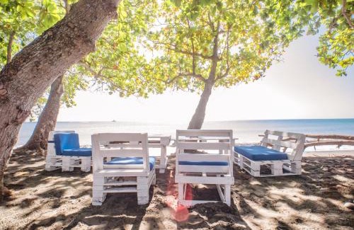 Sabana Palenque Appartement | Coconut Paradise Beach Hotel