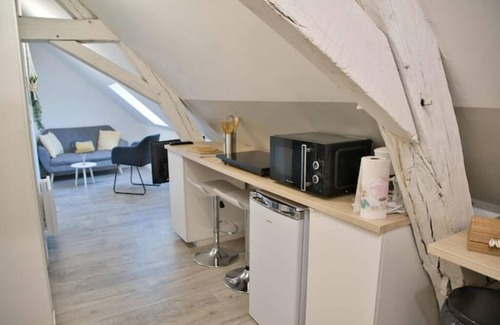 Joigny Appartement | Coeur Joigny "nature zen 3"