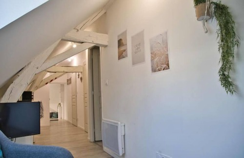 Joigny Appartement | Coeur Joigny "nature zen 3"