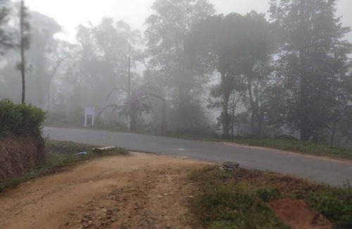 Somvarpet Autre | COFFEE NEST COORG offers spacious homestay accommodations with private bathrooms