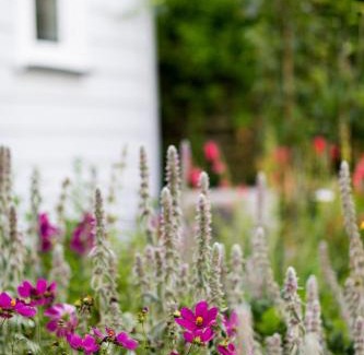 Whitianga Maison | Coghill Cottage