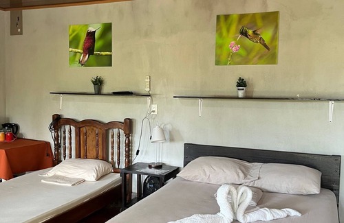 Pavones Cabine | Colibrí Tayutic Cabins