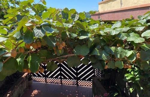 Vezzano Ligure Maison | Collimare Rooms & Sailing near 5 Terre