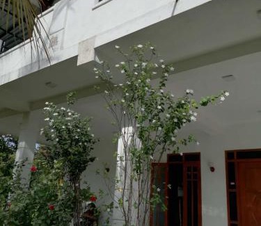 Seeduwa - Katunayake Maison | Colombo Airport Field View Villa