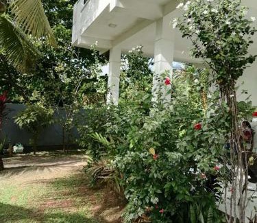 Seeduwa - Katunayake Maison | Colombo Airport Field View Villa