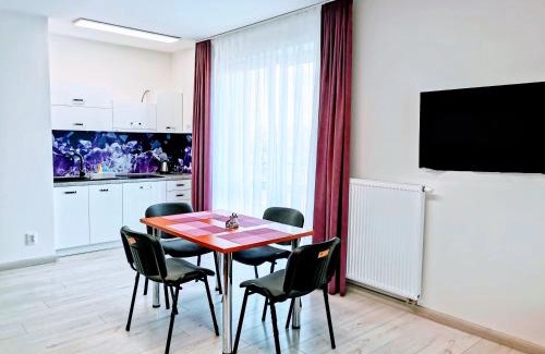 Svidnik Appartement | Comenius Apartments - Apartmány na rohu