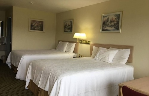 Cabot Station Balnéaire | Comfort and Convenience! 4 Pet-friendly Units, Free Breakfast & Parking, Pool