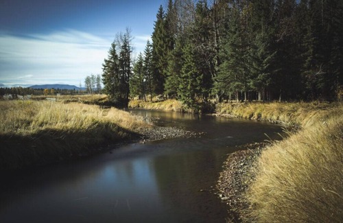 Clearwater County Cabine | Waskasoo Cabin next to Tay River
