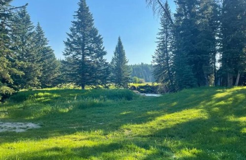 Clearwater County Cabine | Waskasoo Cabin next to Tay River