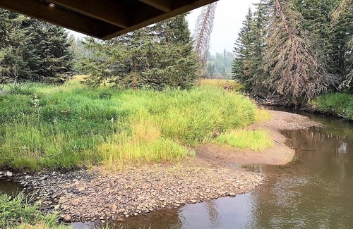 Clearwater County Cabine | Rustic Log Cabin nestled on Tay River
