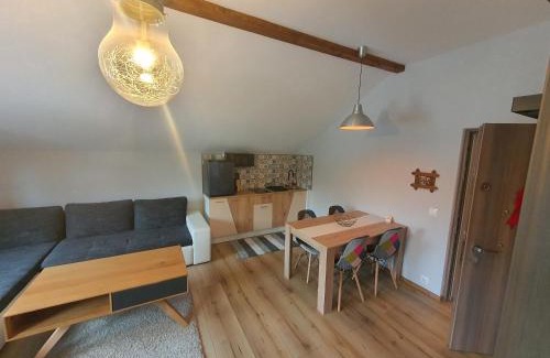 Petrosani Appartement | Comfort Home Studio