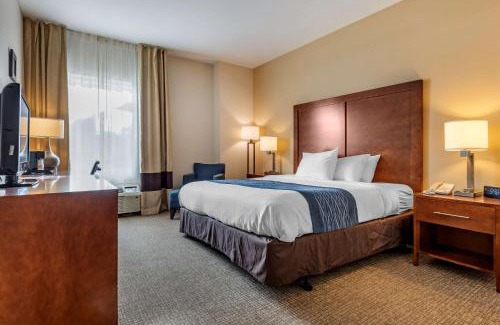 Apalachin Hôtel | Comfort Inn Apalachin - Binghamton W Route 17