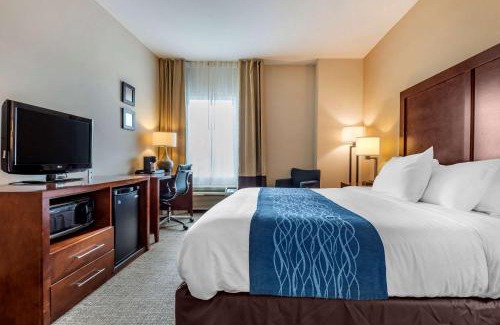 Apalachin Hôtel | Comfort Inn Apalachin - Binghamton W Route 17