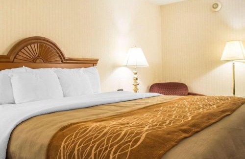 Binghamton Hôtel | Comfort Inn Binghamton I-81