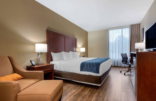 Binghamton Hôtel | Comfort Inn Binghamton I-81