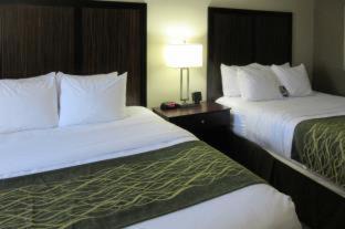 Park Central Hôtel | Comfort Inn Dallas Park Central