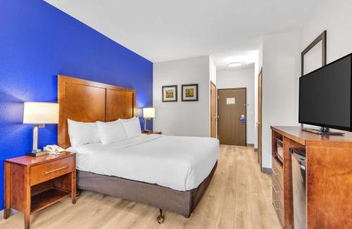 Wheat Ridge Hôtel | Comfort Inn Denver West Arvada Station