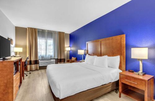 Wheat Ridge Hôtel | Comfort Inn Denver West Arvada Station