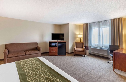 Wheat Ridge Hôtel | Comfort Inn Denver West Arvada Station