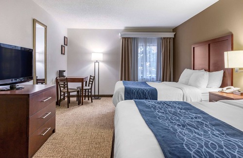 Central Business District Hôtel | Comfort Inn Downtown - University Area