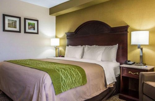 Manchester Hôtel | Comfort Inn Manchester Airport