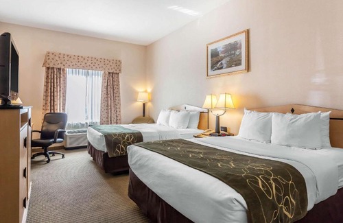 Reno Hôtel | Comfort Inn & Suites Airport Convention Center