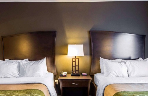 Alva Hôtel | Comfort Inn & Suites