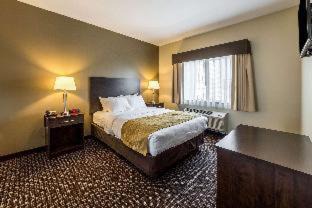 Barnesville Hôtel | Comfort Inn & Suites Barnesville - Frackville