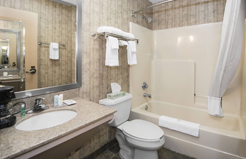 Conway Hôtel | Comfort Inn & Suites Conway