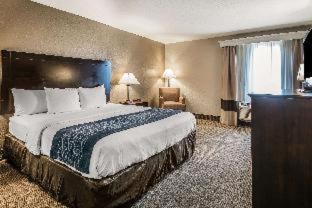 DeLand Hôtel | Comfort Inn & Suites DeLand - near University
