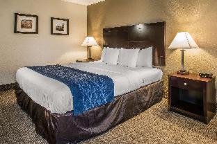 DeLand Hôtel | Comfort Inn & Suites DeLand - near University