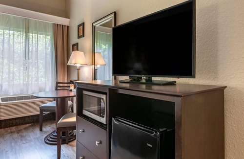 DeLand Hôtel | Comfort Inn & Suites DeLand - near University