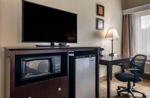 DeLand Hôtel | Comfort Inn & Suites DeLand - near University